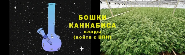 прущая мука Белокуриха